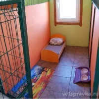 Зоогостиница Дейли на улице Новая Стройка Фото 2 на проекте VetSpravka.ru Зоогостиница Дейли на улице Новая Стройка Фото 2 на проекте VetSpravka.ru