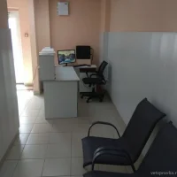 Ветеринарная клиника Слон и Моська Фото 2 на проекте VetSpravka.ru Ветеринарная клиника Слон и Моська Фото 2 на проекте VetSpravka.ru