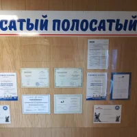 Ветеринарная клиника Усатый Полосатый Фото 2 на проекте VetSpravka.ru Ветеринарная клиника Усатый Полосатый Фото 2 на проекте VetSpravka.ru